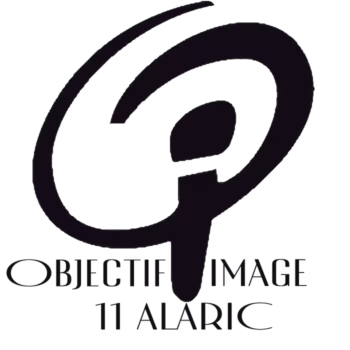 LOGO PCOI 11 ALARIC